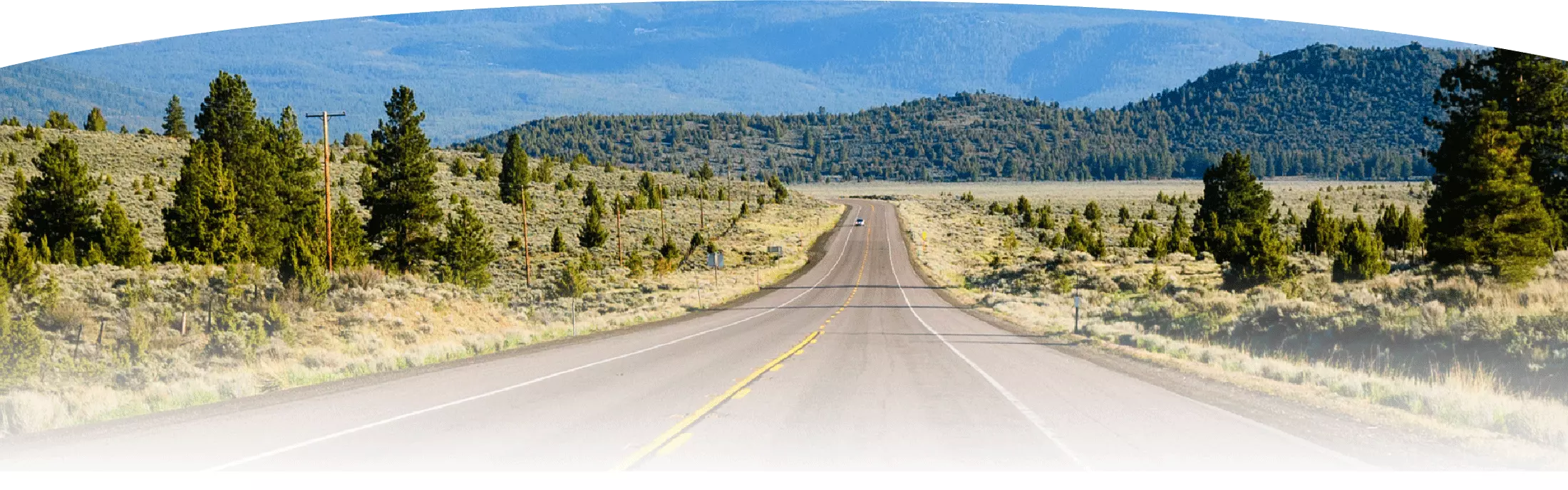 Road to Wellness banner image